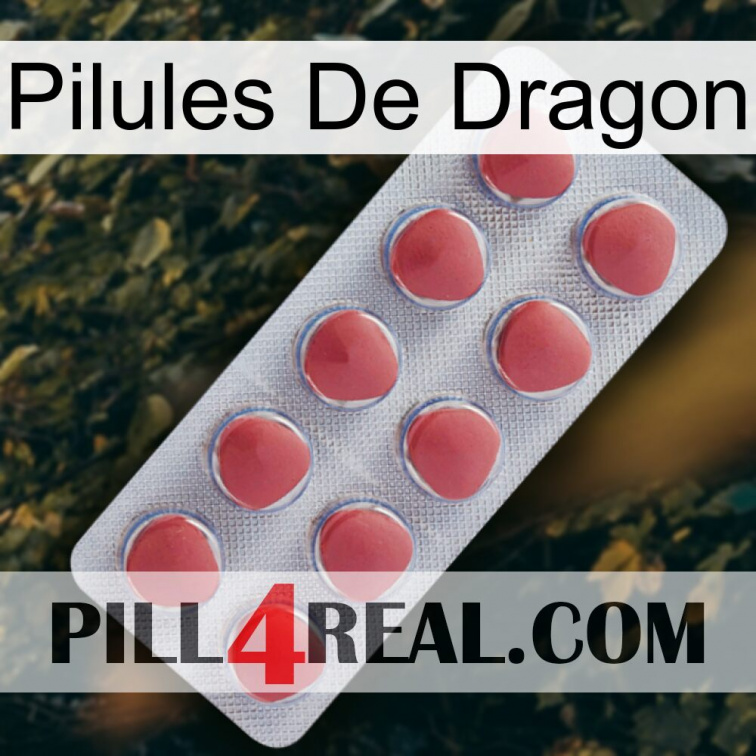 Dragon Pills 18